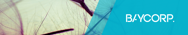 Baycorp Header
